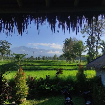 טטבאטו New Rinjani Homestay מראה חיצוני תמונה