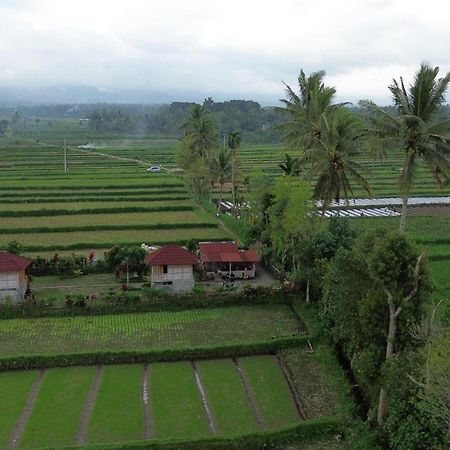 טטבאטו New Rinjani Homestay מראה חיצוני תמונה