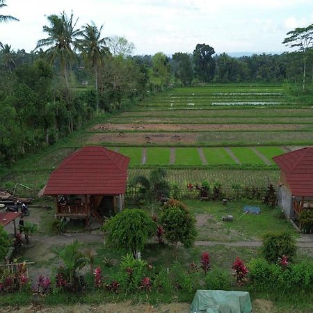 טטבאטו New Rinjani Homestay מראה חיצוני תמונה
