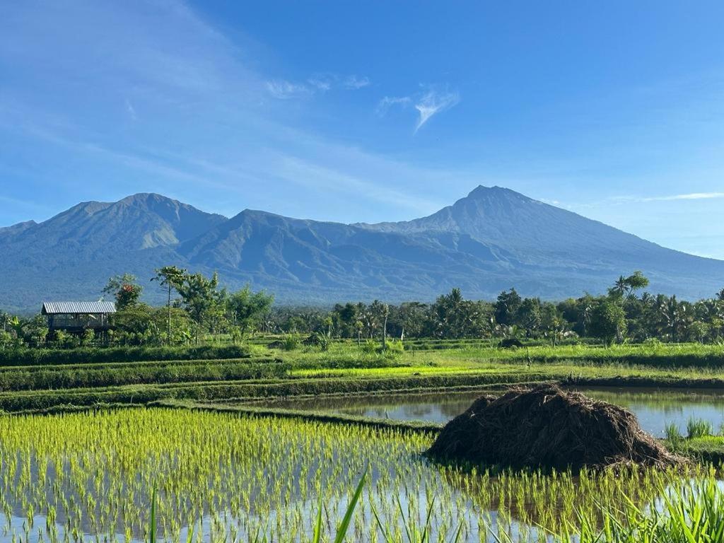 טטבאטו New Rinjani Homestay מראה חיצוני תמונה