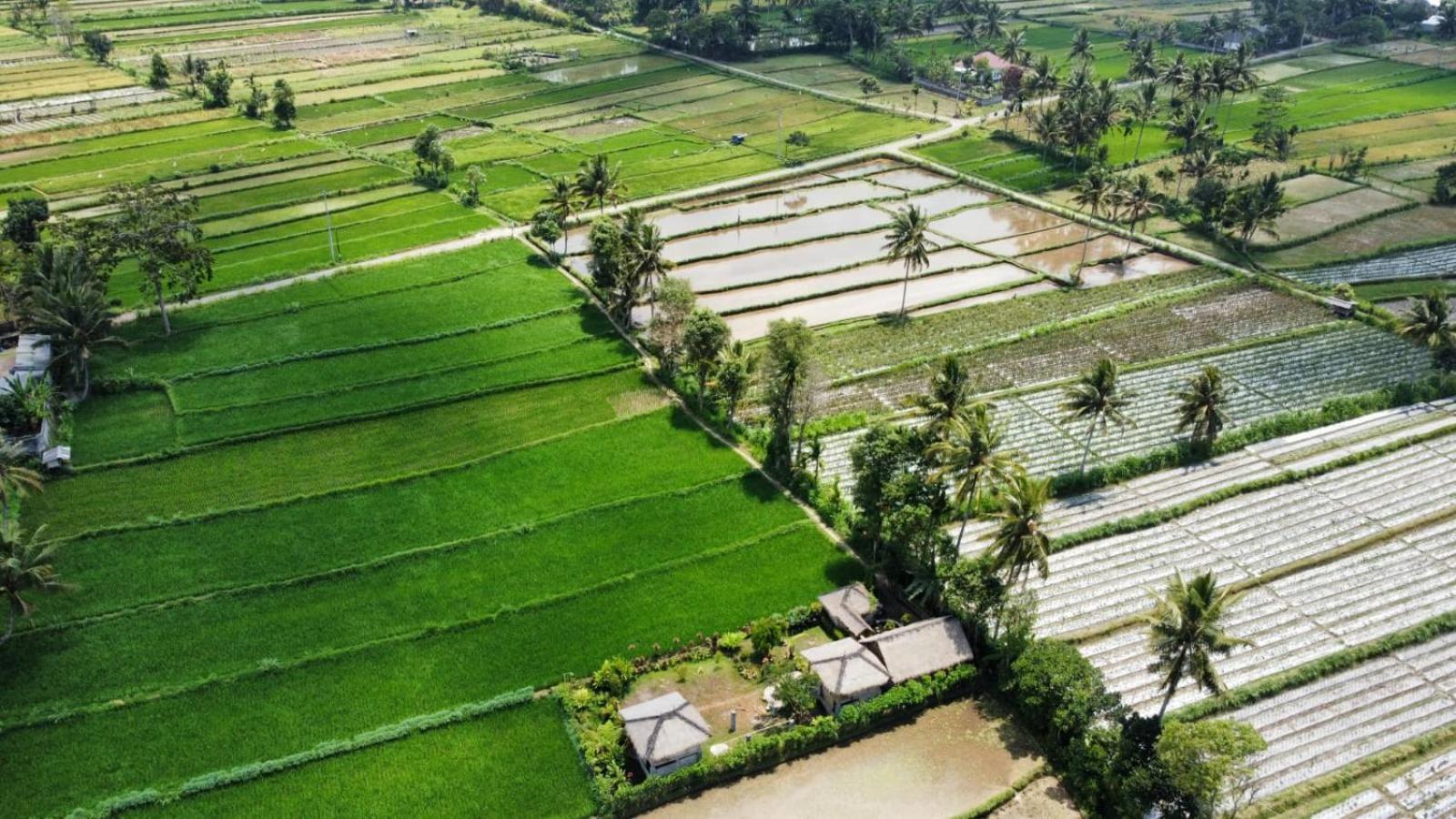 טטבאטו New Rinjani Homestay חדר תמונה