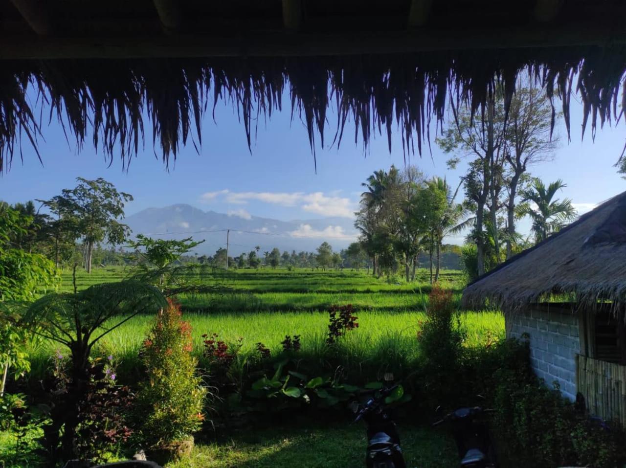 טטבאטו New Rinjani Homestay מראה חיצוני תמונה