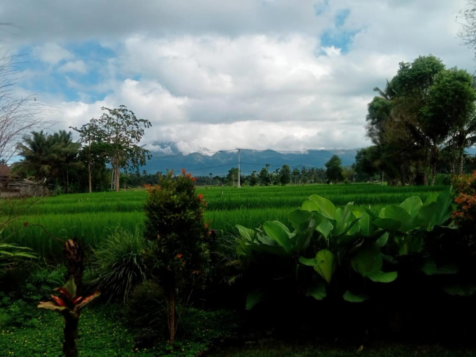 טטבאטו New Rinjani Homestay חדר תמונה