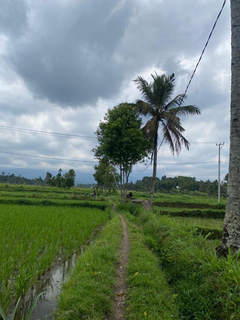 טטבאטו New Rinjani Homestay חדר תמונה