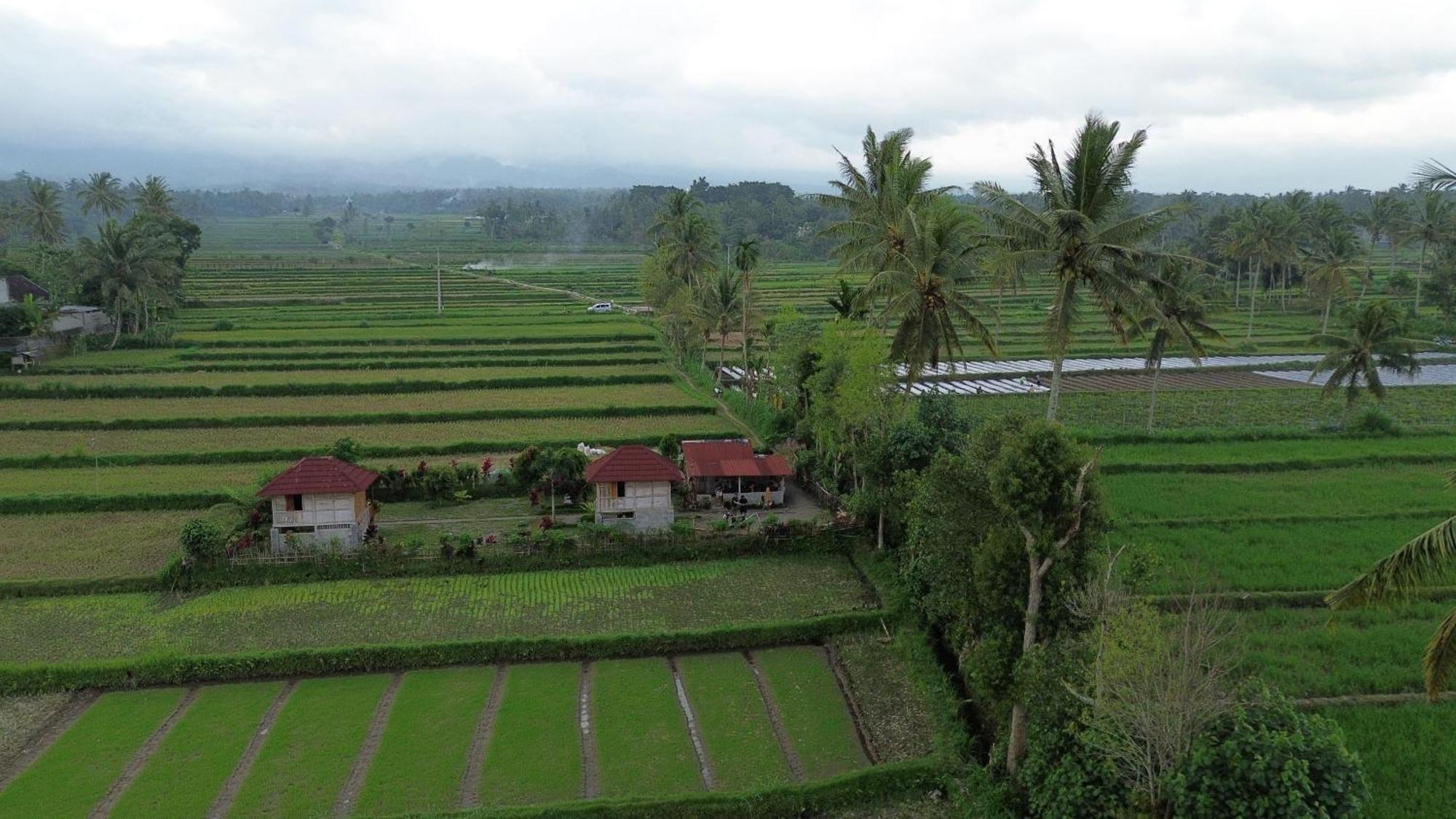 טטבאטו New Rinjani Homestay מראה חיצוני תמונה