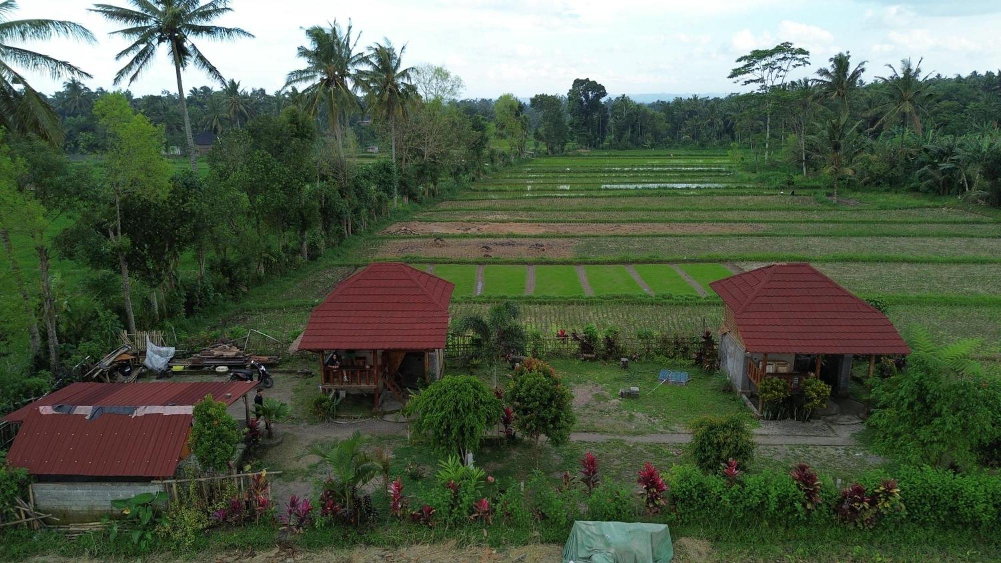 טטבאטו New Rinjani Homestay מראה חיצוני תמונה
