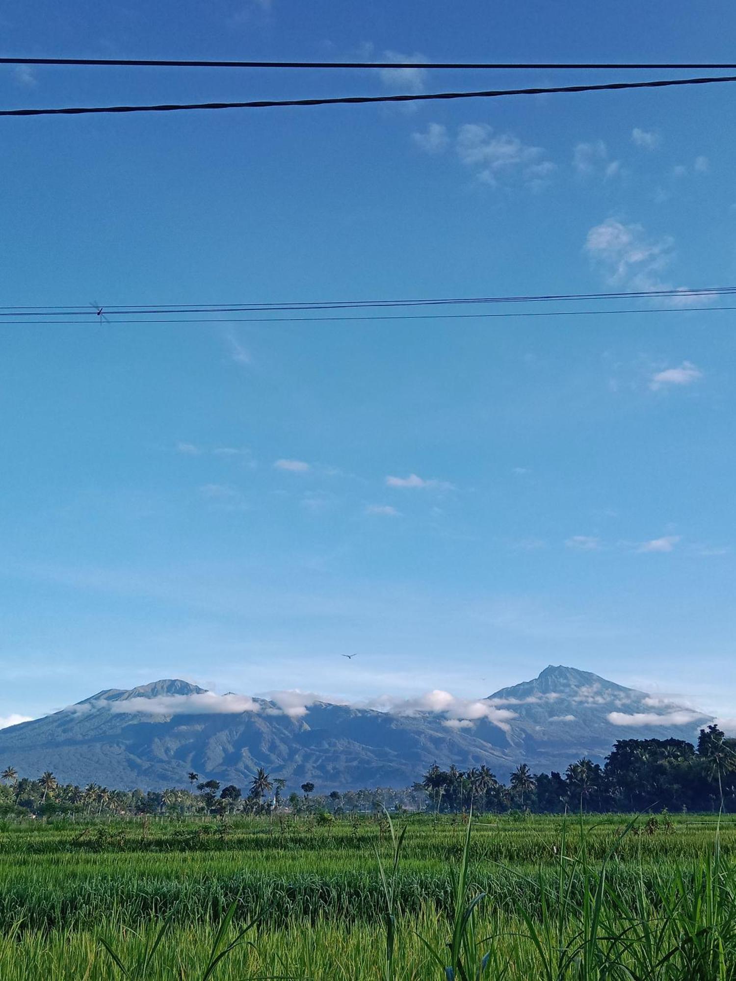 טטבאטו New Rinjani Homestay מראה חיצוני תמונה